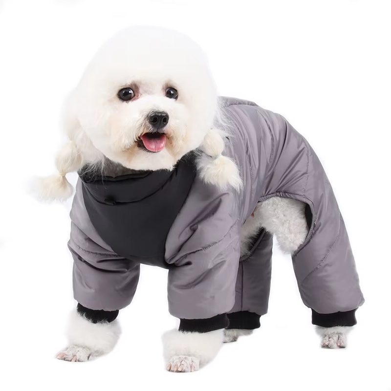 Casaco de Inverno Impermeável para Cães - Estilo, Conforto e Proteção para Seu Melhor Amigo!