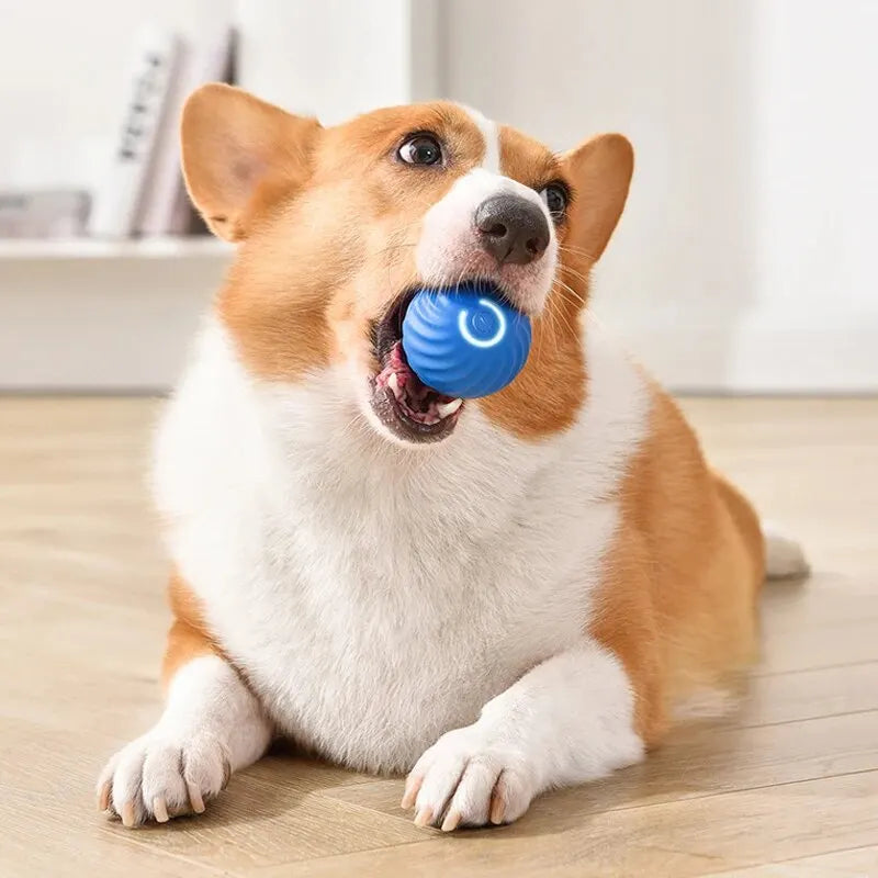 Bola Interativa Inteligente - Diversão Inesgotável para Seu Pet!