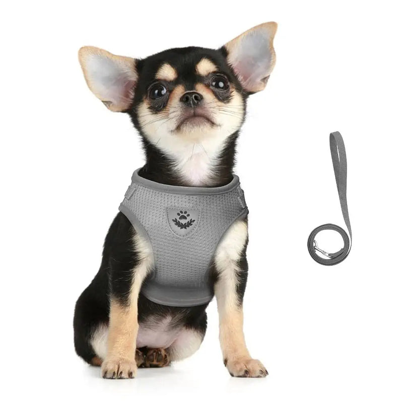 Peitoral com Guia Refletivo e Ajustável – Conforto e Segurança para seu Pet! 🐾✨