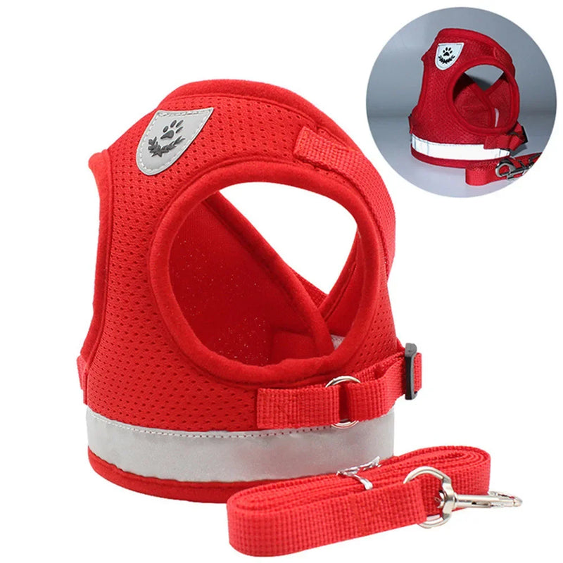 Peitoral com Guia Refletivo e Ajustável – Conforto e Segurança para seu Pet! 🐾✨