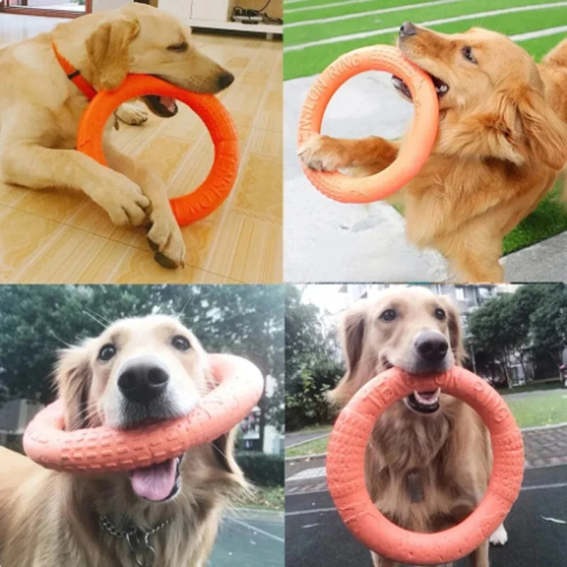 Brinquedo Interativo para Cães - Disco Voador EVA Resistente e Divertido!