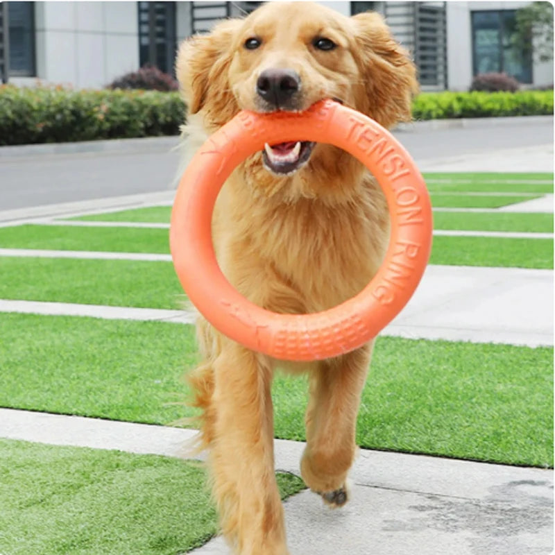 Brinquedo Interativo para Cães - Disco Voador EVA Resistente e Divertido!