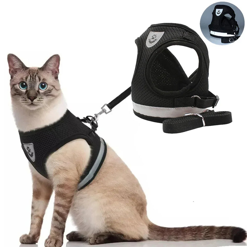 Peitoral com Guia Refletivo e Ajustável – Conforto e Segurança para seu Pet! 🐾✨