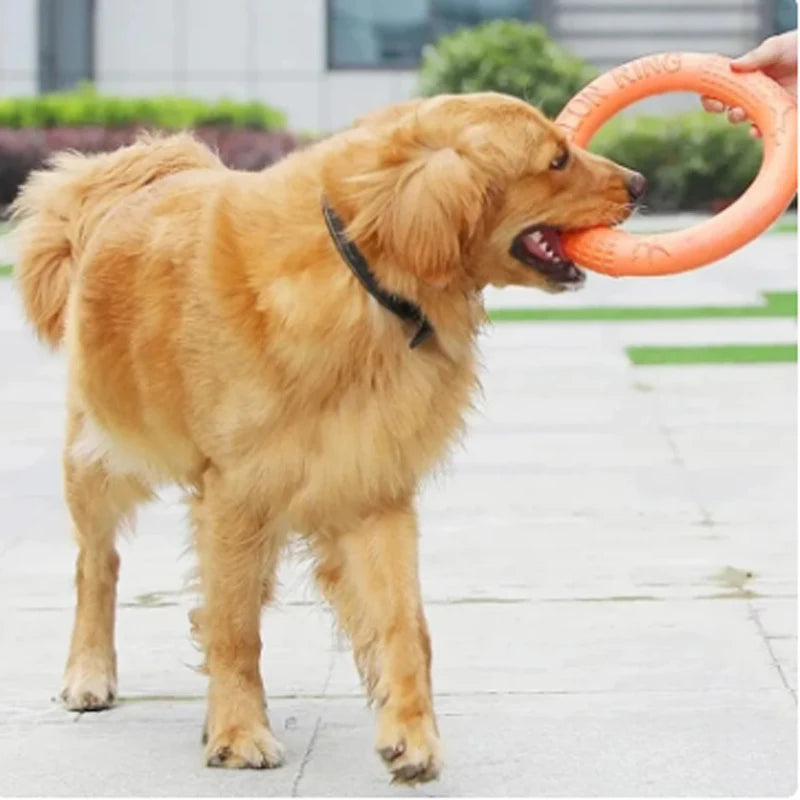 Brinquedo Interativo para Cães - Disco Voador EVA Resistente e Divertido!