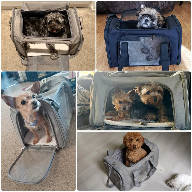 Bolsa de Transporte Premium PETRAVEL - Conforto e Segurança para Seu Pet em Todas as Viagens!