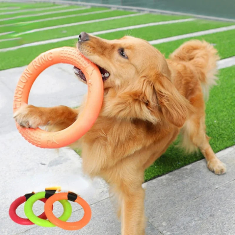 Brinquedo Interativo para Cães - Disco Voador EVA Resistente e Divertido!